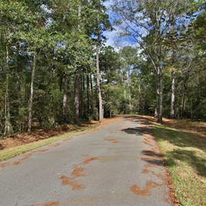 Bridleway Circle Gallery 7